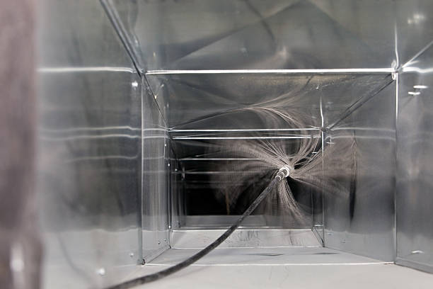 Air Duct Mold Removal in Avocado Heights, CA